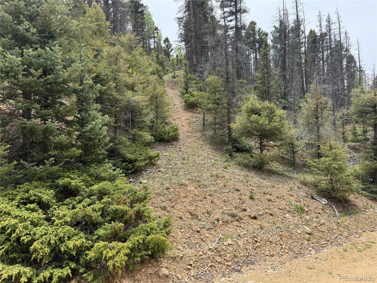 Image 1 Image 1