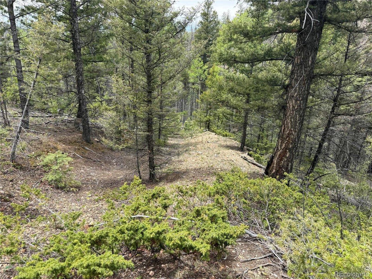 Image 3 Image 3