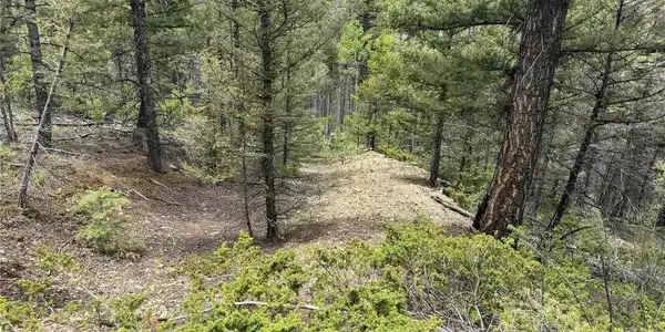 Image 3 Image 3