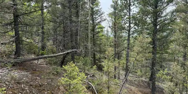 Image 4 Image 4