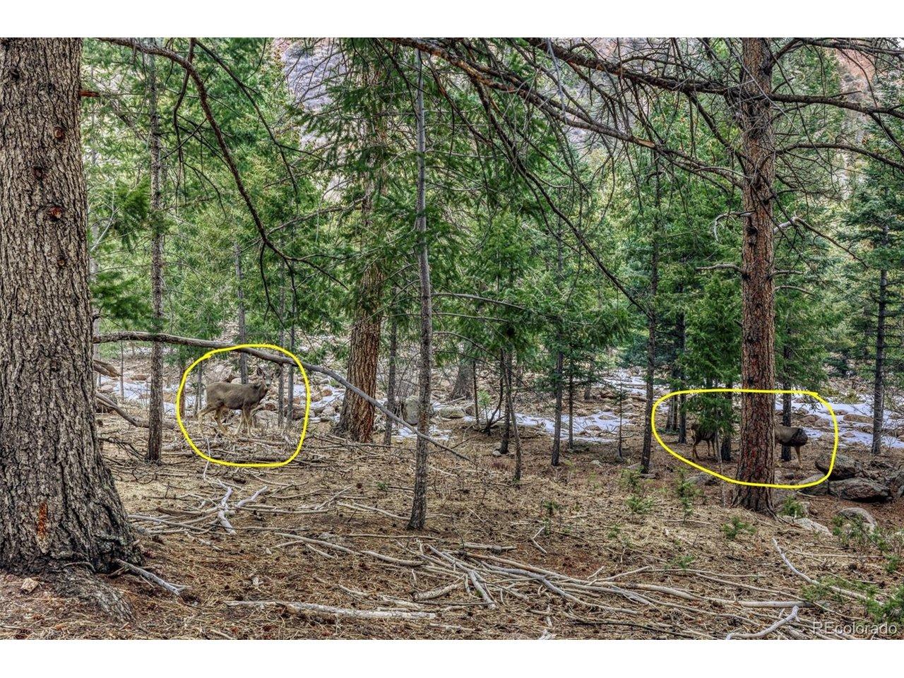 Image 2: plenty of wildlife Image 2: plenty of wildlife