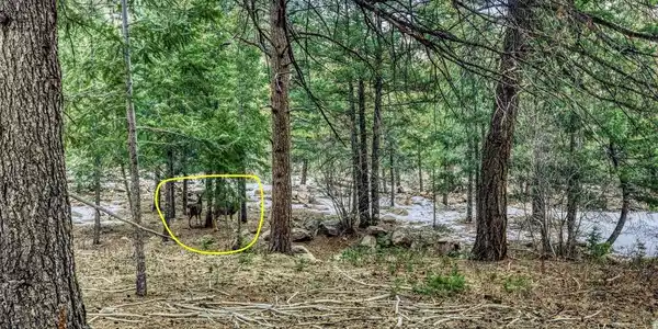 Image 3: plenty of wildlife Image 3: plenty of wildlife