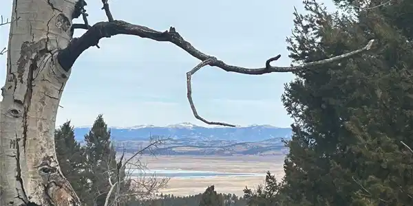 Image 2: Antero Reservoir Views!