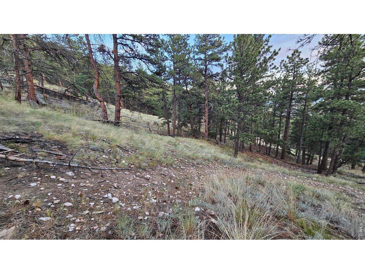 Image 3: Dirt road and trail access to the upper portions of the property Image 3: Dirt road and trail access to the upper portions of the property