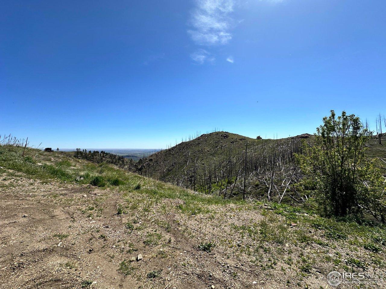Image 2 Image 2