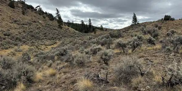 Image 3 Image 3