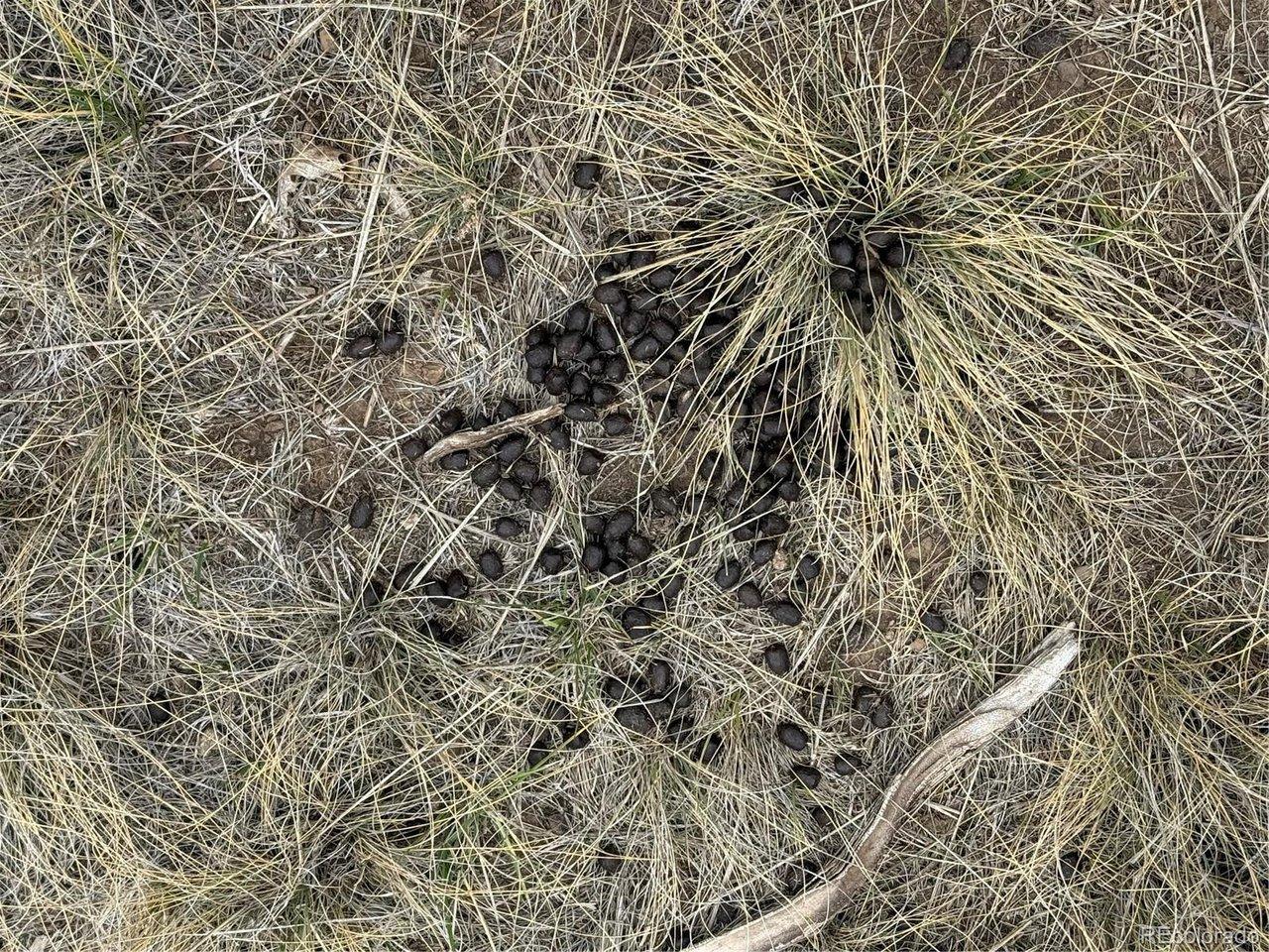 Image 4 Image 4