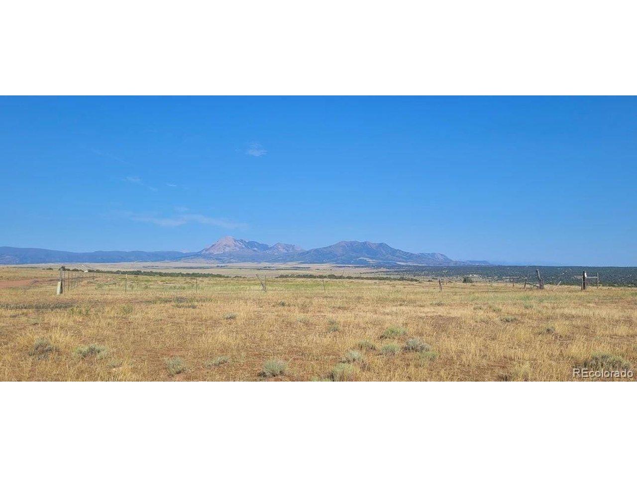 Image 4 Image 4