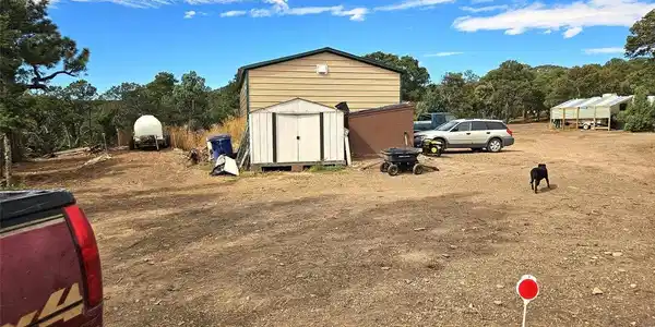 Image 4 Image 4