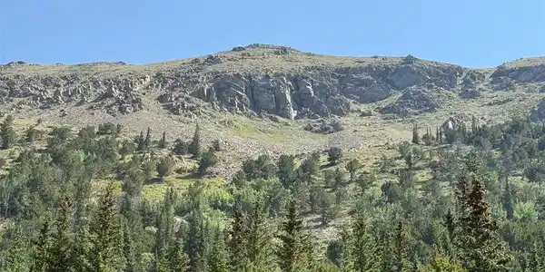 Image 3 Image 3