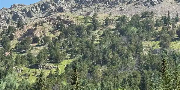 Image 4 Image 4