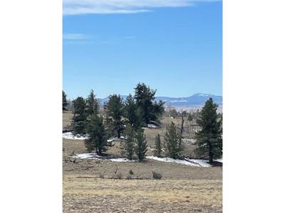 148 Grand Teton Dr