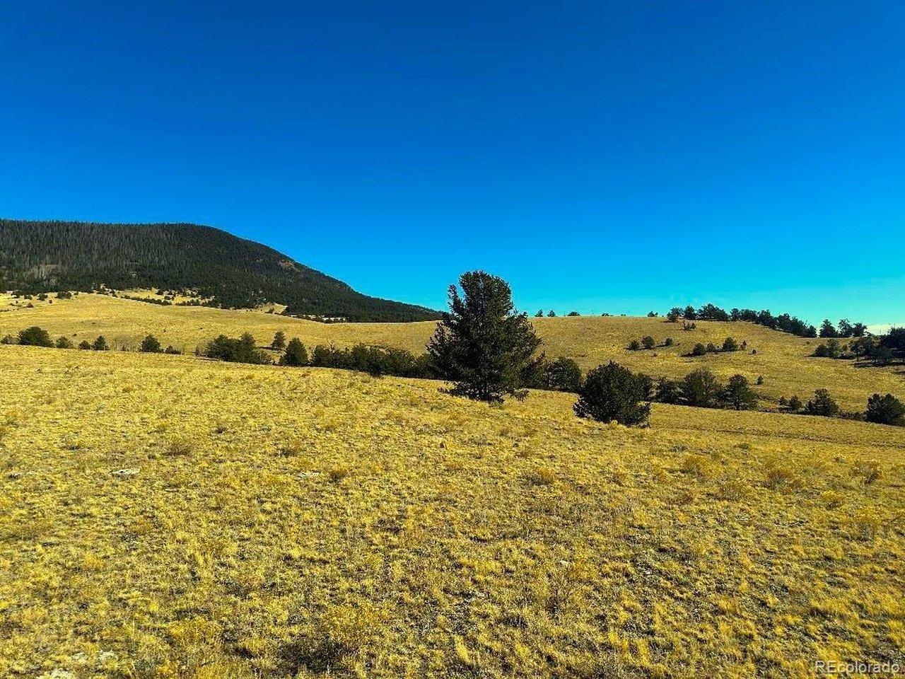 Image 3 Image 3
