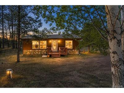 331 Rhyolite Ln