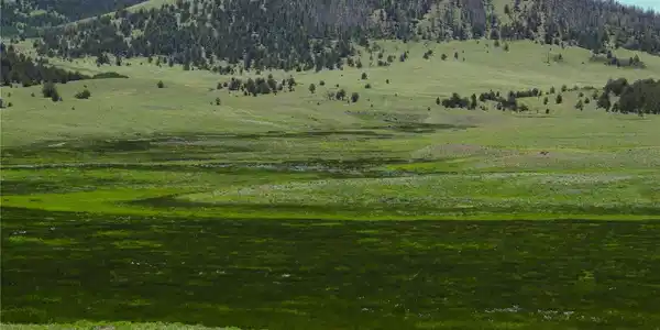 Image 4 Image 4