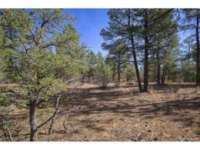 Rancho La Garita Lot 1129