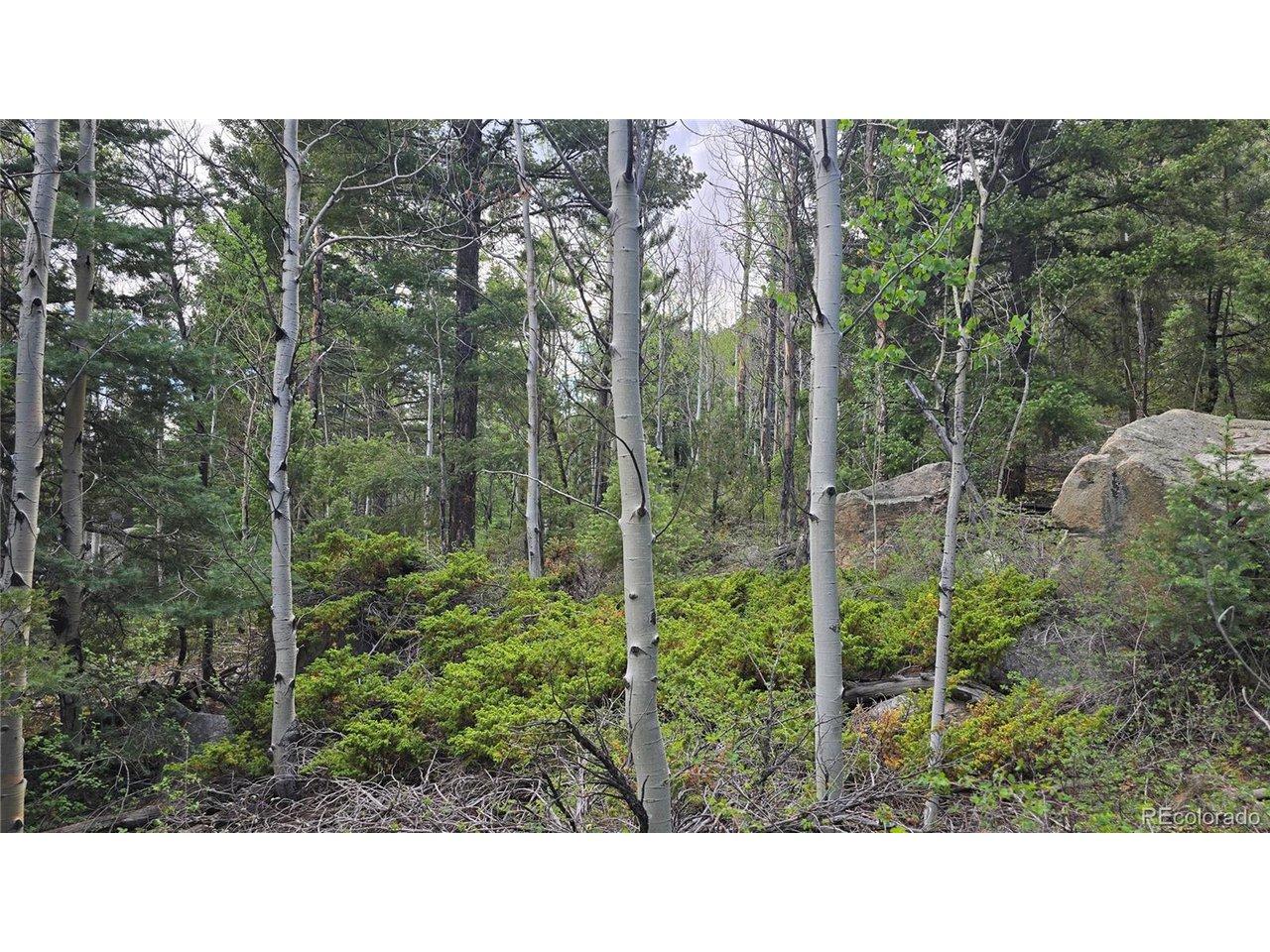 Image 3 Image 3