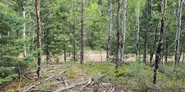 Image 4 Image 4