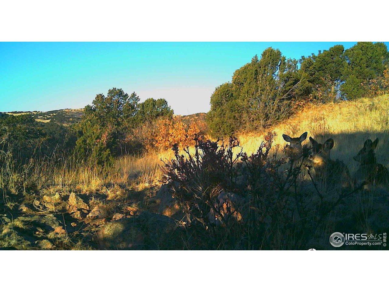 Image 3 Image 3