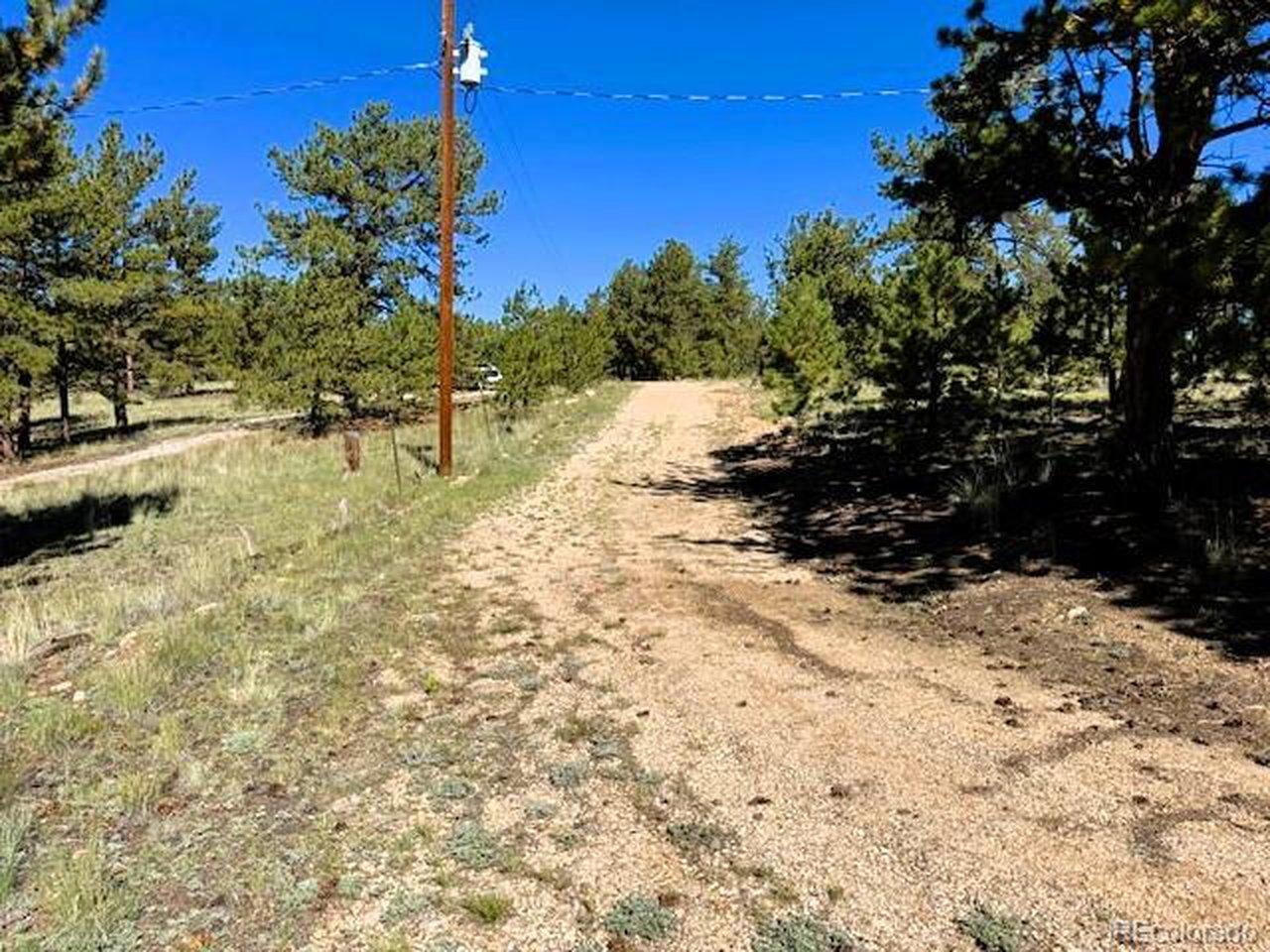 Image 3: View northwest toward the cul-de-sac from inside lot 258 near the campsites