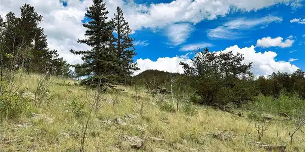 Image 4 Image 4