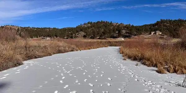 Image 4: Flows below ice in winter Image 4: Flows below ice in winter