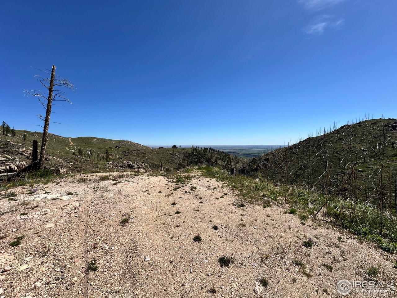 Image 3 Image 3