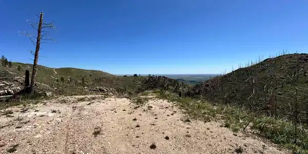Image 3 Image 3