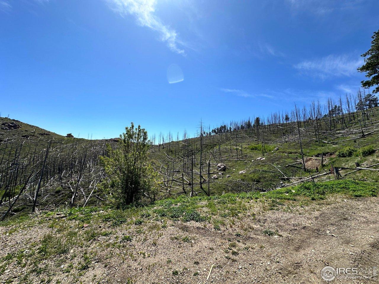 Image 4 Image 4