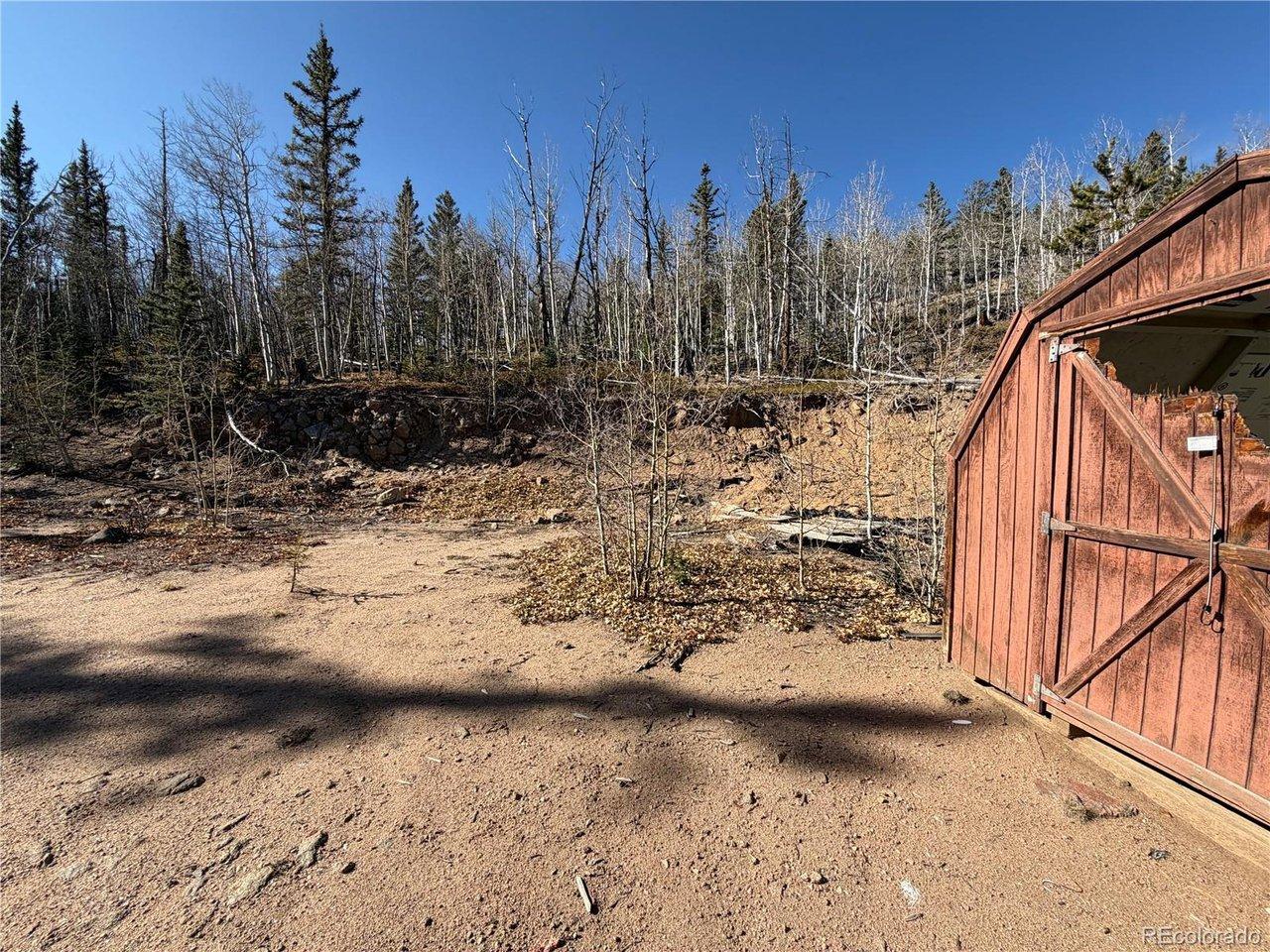 Image 2: Shed at property