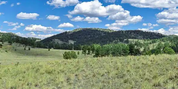 Image 3 Image 3