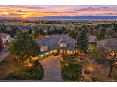 77 Falcon Hills Dr