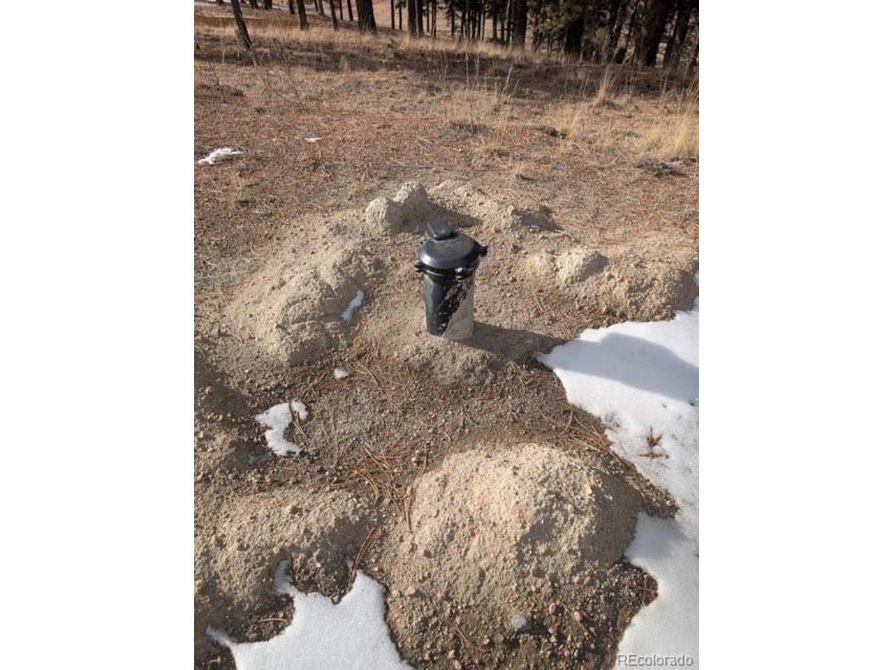 Image 2: Well Head
