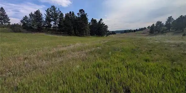Image 3 Image 3