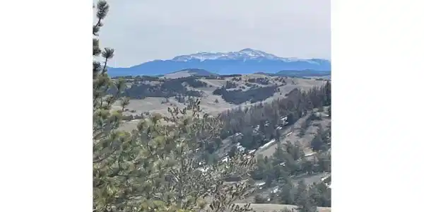 Antelope Rd