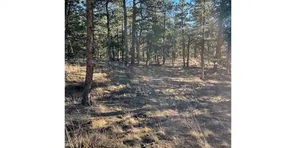 Image 4 Image 4