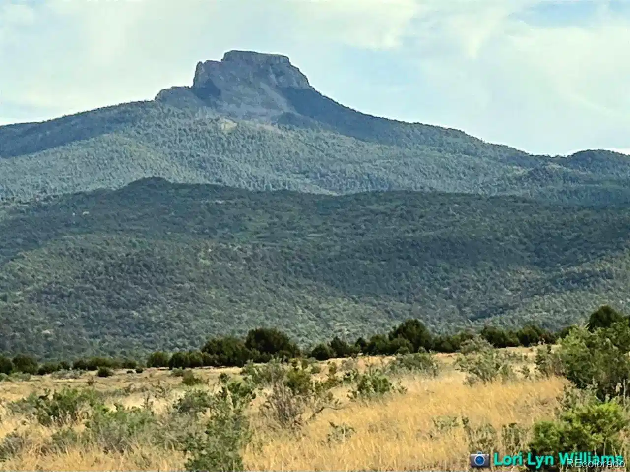 Image 1 Image 1