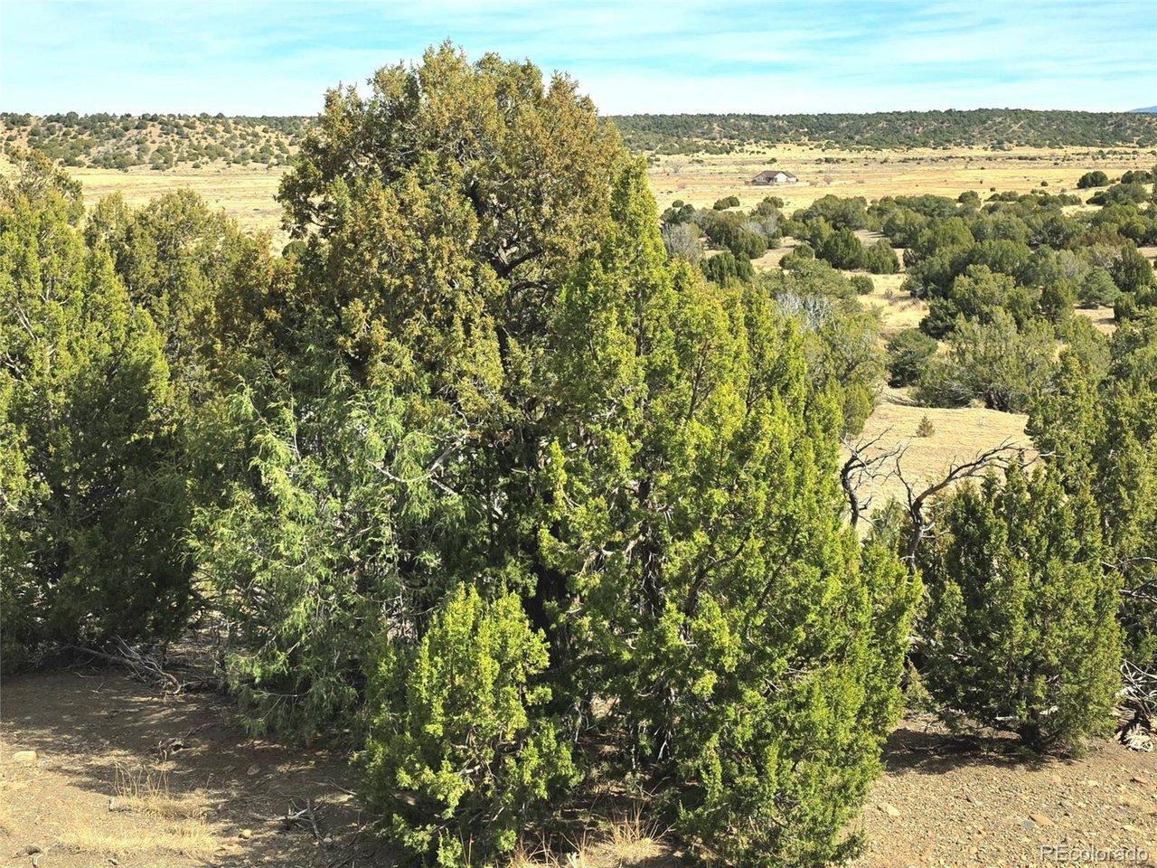 Image 4 Image 4