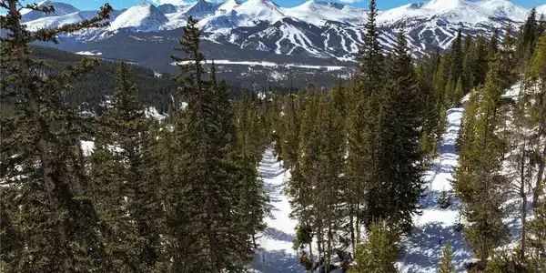 Image 2 Image 2