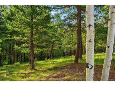 123 Ellis Lake Cir