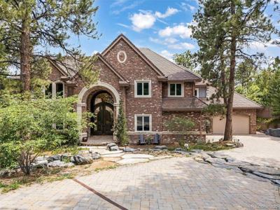 202 Saratoga Vein Ct