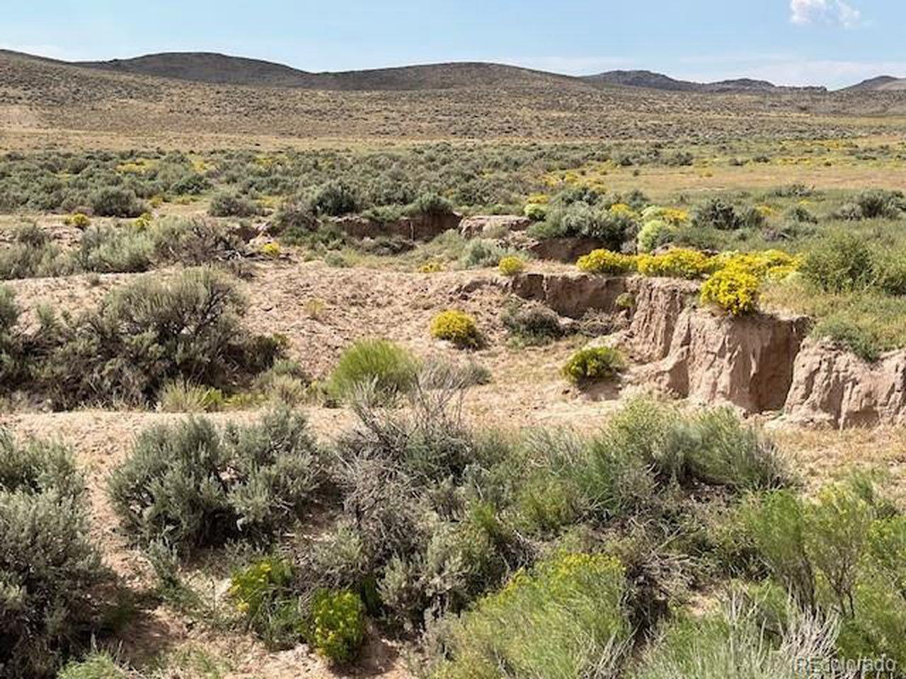 Image 1: The dry arroyo near the NE corner. Image 1: The dry arroyo near the NE corner.