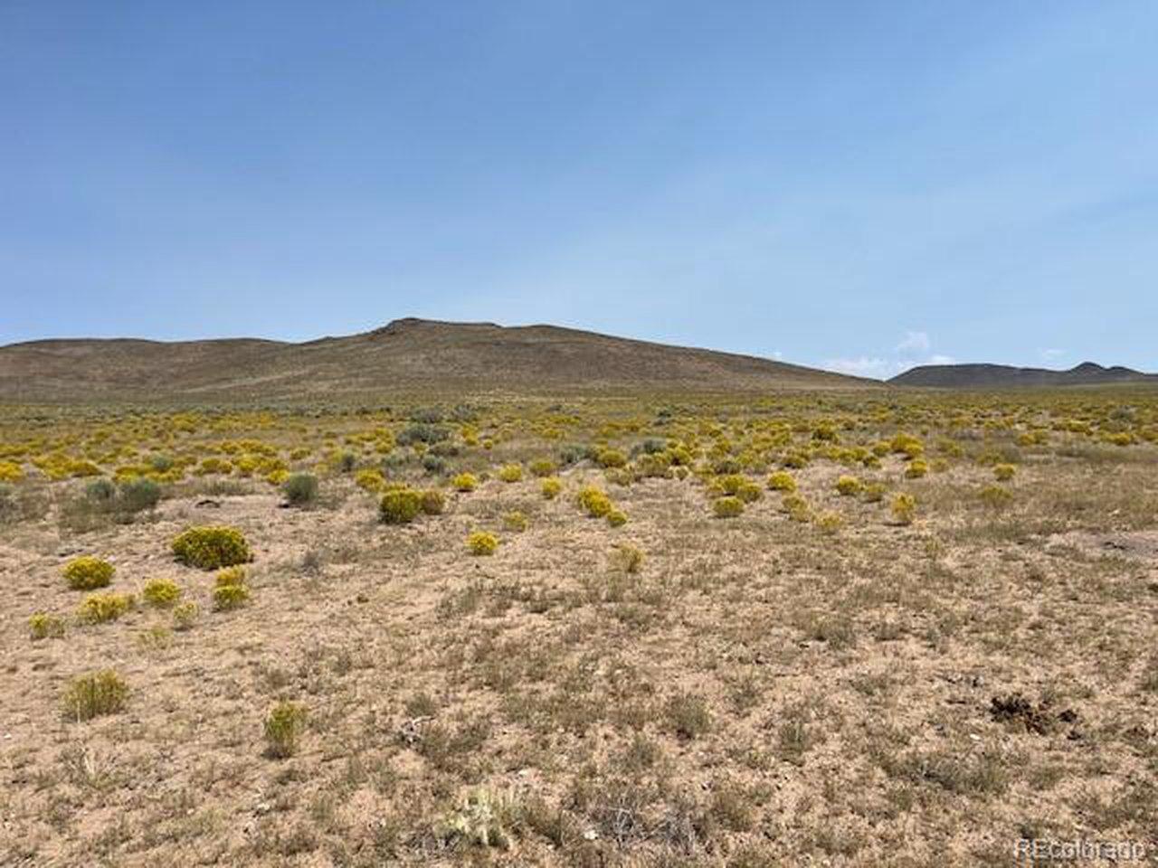 Image 2: Looking N along the property line from the SW corner. Image 2: Looking N along the property line from the SW corner.