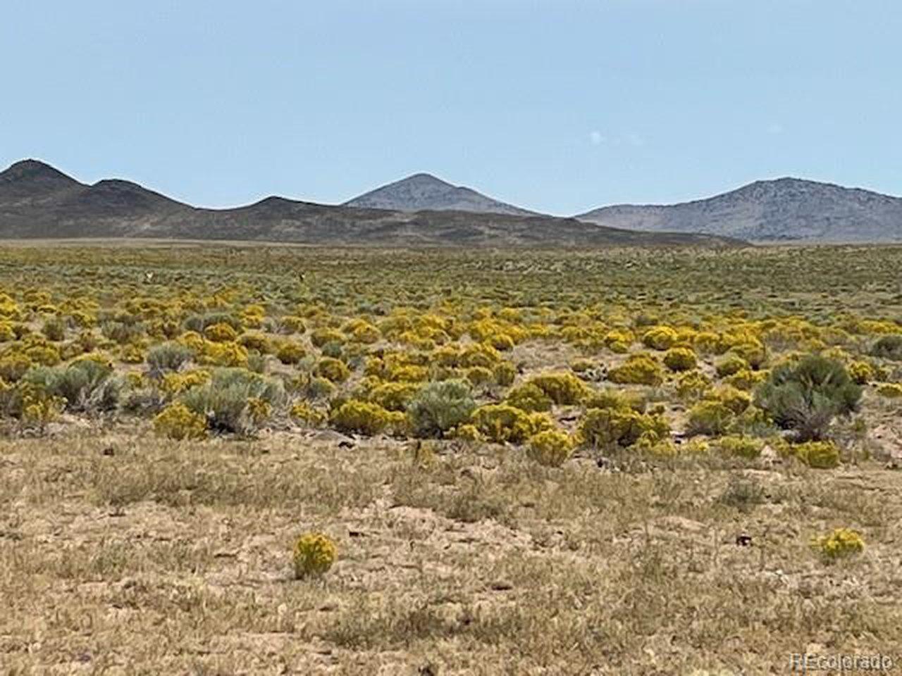 Image 3 Image 3