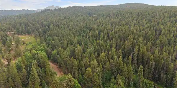 27578 Timber Trl