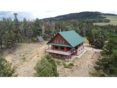 217 Greaves Ln