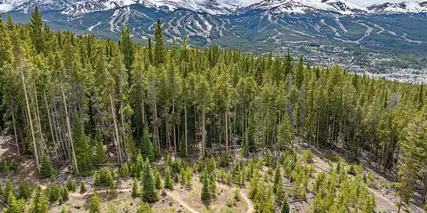 Image 4: Mountain bike and cross country ski trails directly bordering the property.