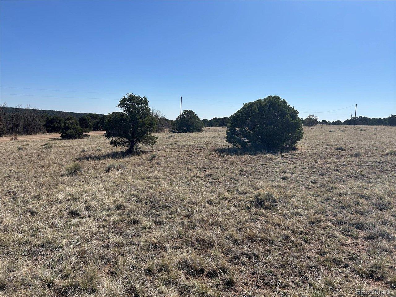 Image 4 Image 4