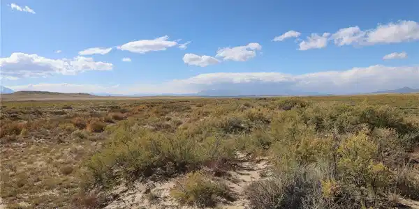 Homestead Loop
