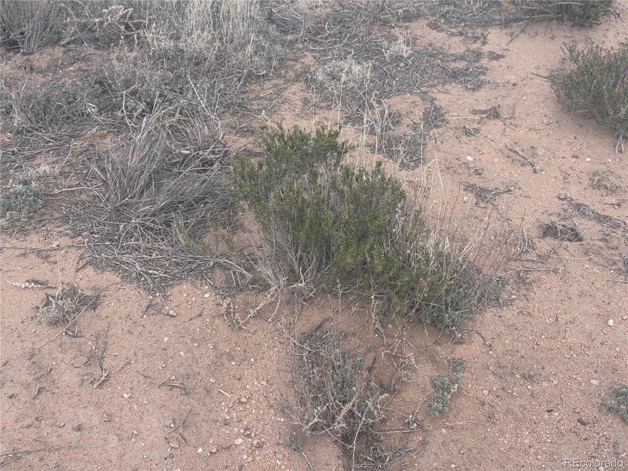 Image 4 Image 4